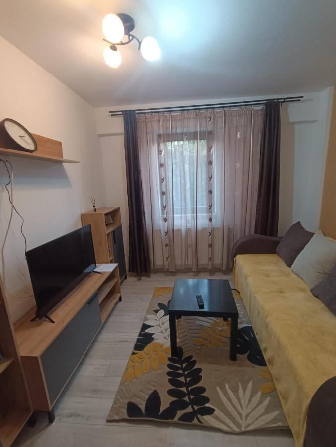 Daylight Apartments Sibiu Exterior photo